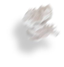 Folded Interactive Paper mailer